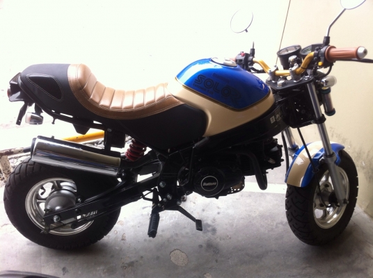 ขาย Stallions SOLO-R Catcher 125 cc