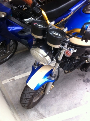 ขาย Stallions SOLO-R Catcher 125 cc