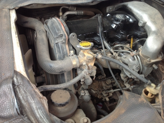 ขายด่วนๆๆช่วยกันทำกิน