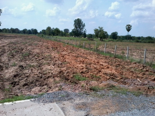 ขายที่ดินสวยราคาถูก 16-2-46 ไร่ ราคา 150,000 บาทต่อไร่ ใกล้หมู่บ้านติดถนน อ.สีคิ้ว