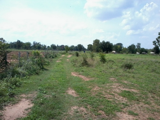 ขายที่ดินสวยราคาถูก 16-2-46 ไร่ ราคา 150,000 บาทต่อไร่ ใกล้หมู่บ้านติดถนน อ.สีคิ้ว