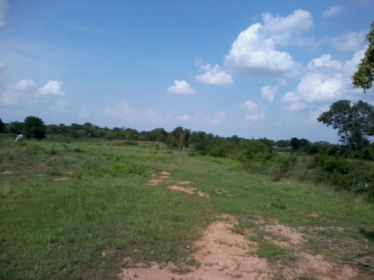 ขายที่ดินสวยราคาถูก 16-2-46 ไร่ ราคา 150,000 บาทต่อไร่ ใกล้หมู่บ้านติดถนน อ.สีคิ้ว