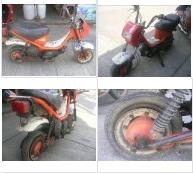 ขาย ชิปปี้