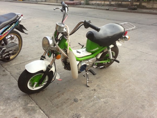 ขาย ชิปปี้