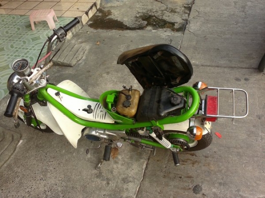 ขาย ชิปปี้