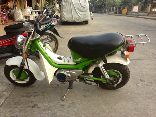 ขาย ชิปปี้