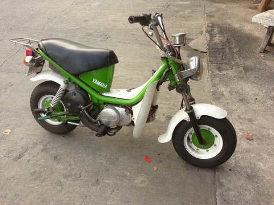 ขาย ชิปปี้