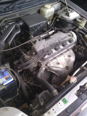 ขาย HONDA City ปี 43 ราคา 230,000 ขาย HONDA City ปี 43 ราคา 230,000