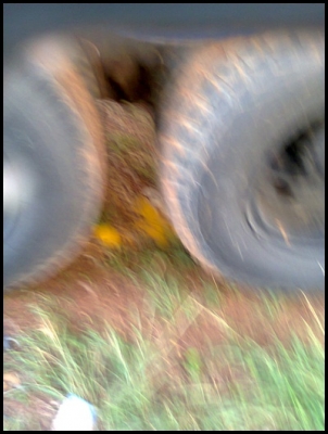 อีซูซุ 10 ล้อ ขายด่วนสุดๆ