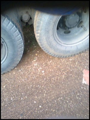 อีซูซุ 10 ล้อ ขายด่วนสุดๆ