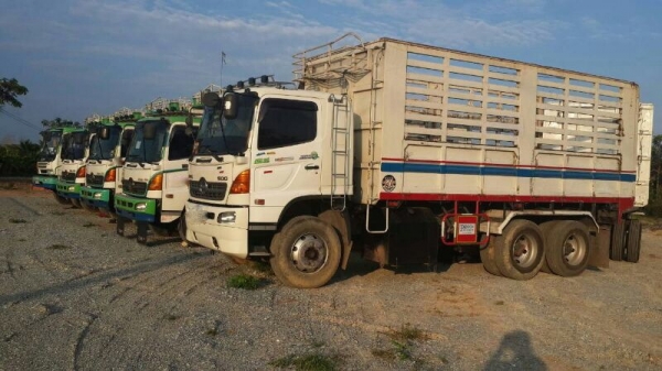 รถฮีโน่ 10 ล้อดั้ม 344 แรงม้า. ปี 53  ( ขายแม่ / ลูก )  สนใจติดต่อ 081 - 6079515