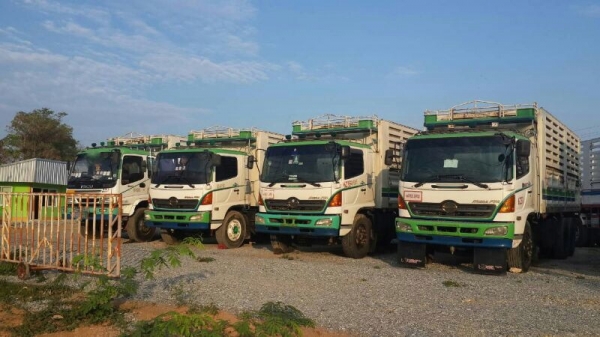 รถฮีโน่ 10 ล้อดั้ม 260 แรงม้า. ปี 47  ( ขายแม่ / ลูก )  ( มีขาย 3 พ่วง. )  สนใจติดต่อ 081 - 6079515