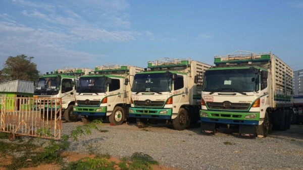 รถฮีโน่ 10 ล้อดั้ม 260 แรงม้า. ปี 47  ( ขายแม่ / ลูก )  ( มีขาย 3 พ่วง. )  สนใจติดต่อ 081 - 6079515