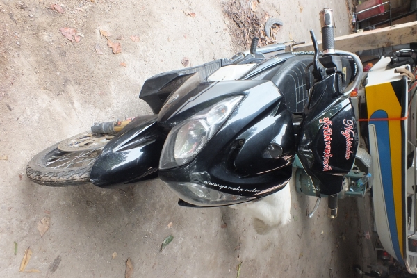 ขาย นูโวmx ตามสภาพ เครื่องเดิม ทะเบียนพร้อมโอน ขาย นูโวmx ตามสภาพ เครื่องเดิม ทะเบียนพร้อมโอน