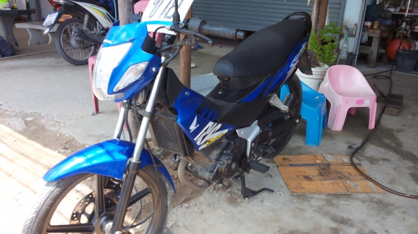 ขายโชนิคตัวใหม่ ขายโชนิคตัวใหม่