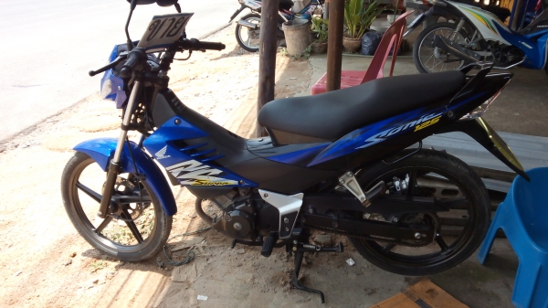 ขายโชนิคตัวใหม่