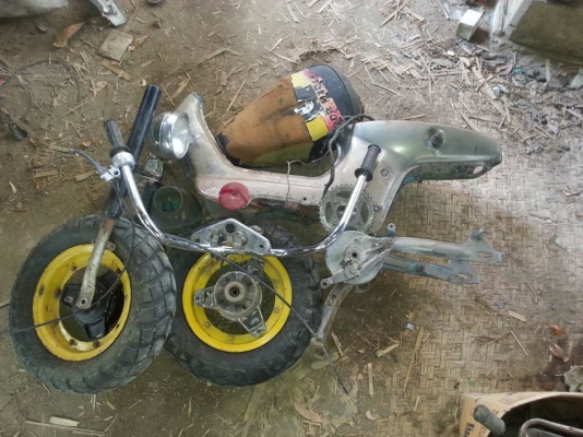 โคลงชาลี