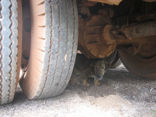 หัวยาว 6BD1  165 แรง  สโลกลาง  2 เพลา ทะเบียนเต็ม 305,000 บาท