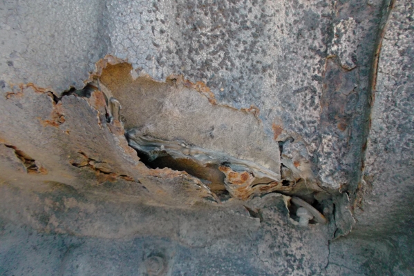 ขายด่วนรถ6ล้อTOYOTAเครือง115แรงม้า3ใบปัตปี31