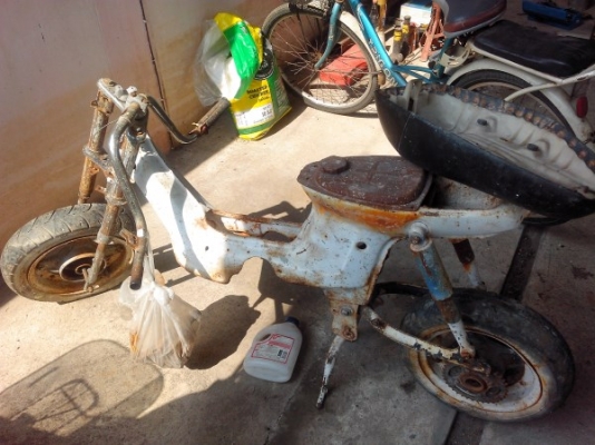 ขายโครงชาลี ยืนคัน