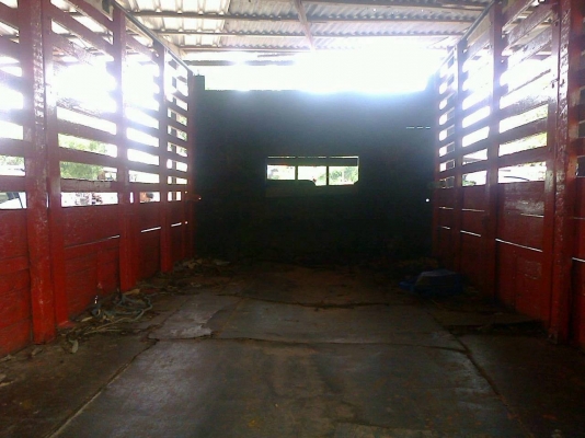 **340,000 บ.ต่อรอง**ขาย6ล้อ 115 ยอดนิยม ISUZU NPR115 JAANPR59LK ห้างแท้ เกียร์ยาวปี33 เครื่องเดิมเกียร์เดิม 4BD1 115 แรงฝาดำ เกียยาวเดิม ช่วงล่างคัสซีดี ไม่ปะไม่ดาม เฟืองท้ายF คานหน้าเดิม6น็อตกระบะพื้นเหล็กคอกไม้สภาพดี พื้นโอเค คอกดี ไม่ผุ ยาว4.30ม.หัวเก๋ **340,000 บ.ต่อรอง**ขาย6ล้อ 115 ยอดนิยม ISUZU NPR115 JAANPR59LK ห้างแท้ เกียร์ยาวปี33 เครื่องเดิมเกียร์เดิม 4BD1 115 แรงฝาดำ เกียยาวเดิม ช่วงล่างคัสซีดี ไม่ปะไม่ดาม เฟืองท้ายF คานหน้าเดิม6น็อตกระบะพื้นเหล็กคอกไม้สภาพดี พื้นโอเค คอกดี ไม่ผุ ยาว4.30ม.หัวเก๋