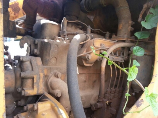 รถแท็คเตอร์  KOMATSU / D55S  ( รถเช็คนอก )  สนใจติดต่อ 081 - 6079515