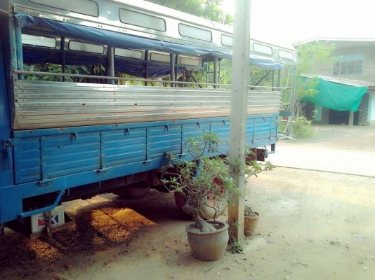 ขายหกล้อนิสสันคาร์บอนโดยสารสวยๆ ติดต่อ 0875223804 นัทครับ