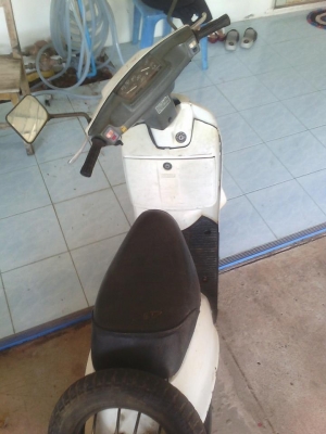 ขายปอปคลาสสิก 4500 บาท ติดขี่ได้