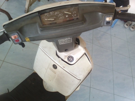 ขายปอปคลาสสิก 4500 บาท ติดขี่ได้