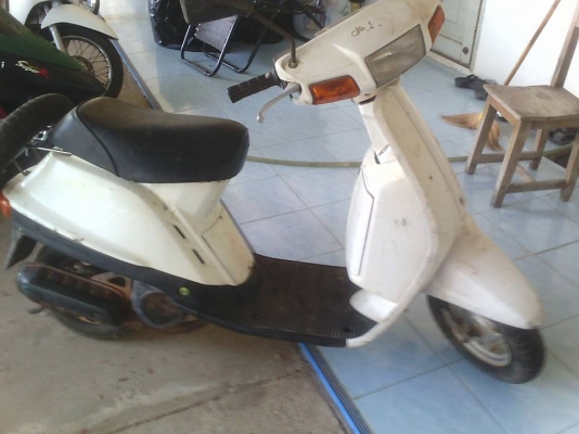 ขายปอปคลาสสิก 4500 บาท ติดขี่ได้