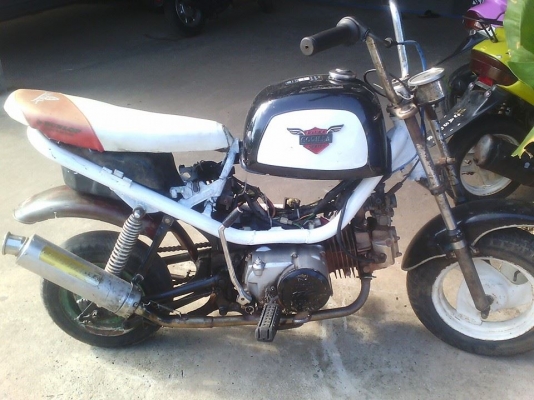 ขายชิปปี้ เอาไปทำหล่ออีกนิดสวยๆ ติดขี่ได้เครื่อง 125  6500 บาท