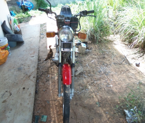 ขายคอนคอร์ด135c.c.