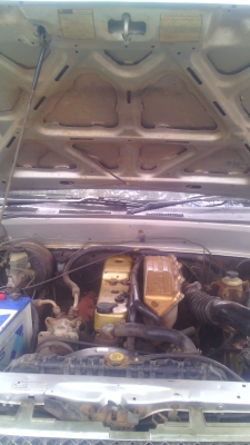 tfr มังกรทอง 93000 tfr มังกรทอง 93000