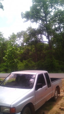 tfr มังกรทอง 93000 tfr มังกรทอง 93000