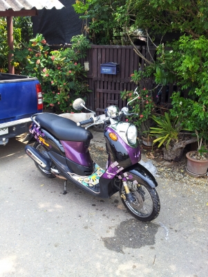 ขายรถมอไซค์ Fino ปี 2009 ขายรถมอไซค์ Fino ปี 2009