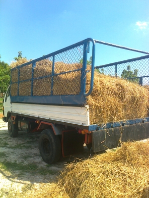 รถ6ล้อกลางโตโยต้าแบบDV-26L85แรง