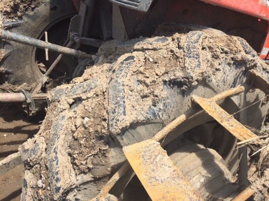 ขายด่วน