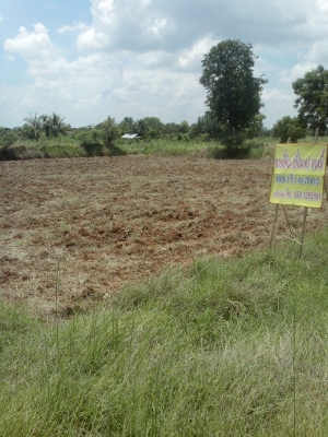 ขายรถเกี่ยวข้าว สินเจริญ ขายรถเกี่ยวข้าว สินเจริญ