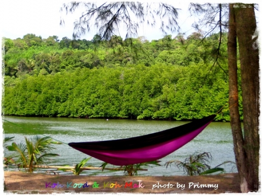 ขาย จำหน่ายเปลญวนทั้งปลีกและส่ง