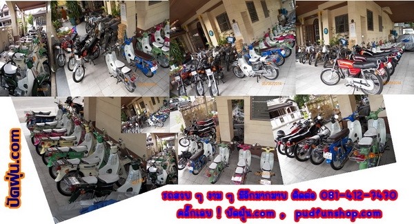 Wing125 Jx110 C70 เครื่องดรีม สีโดนๆหลากหลายสีสัน รวมๆ 11 คัน มีทบ.โอน โทร.081-412-7470