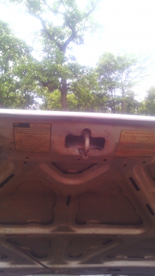 ด่วนสุด มังกรทอง ลดราคา 89000 ถูกสุดๆ ด่วนสุด มังกรทอง ลดราคา 89000 ถูกสุดๆ