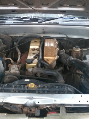 ด่วนสุด มังกรทอง ลดราคา 89000 ถูกสุดๆ ด่วนสุด มังกรทอง ลดราคา 89000 ถูกสุดๆ