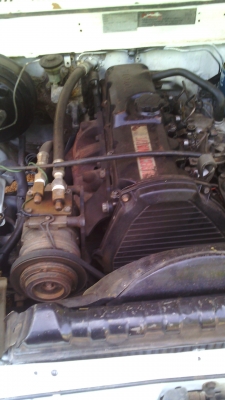 ไมตี้หัวเดียว พร้อมใช้ 98000