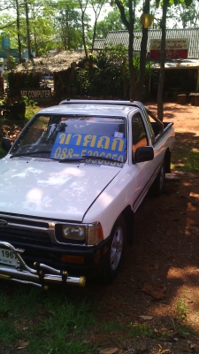 ไมตี้หัวเดียว พร้อมใช้ 98000