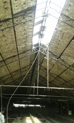 ขายโครงสร้างเหล็ก ราคาถูก สภาพสวย ขนาดกว้าง 20 ยาว 80 เมตร