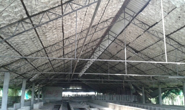 ขายโครงสร้างเหล็ก ราคาถูก สภาพสวย ขนาดกว้าง 20 ยาว 80 เมตร