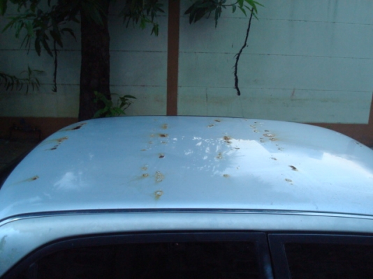 ขายถูกตามสภาพ ขายถูกตามสภาพ