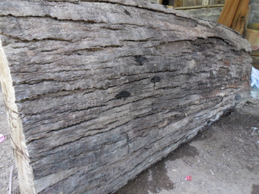 ขอ ขายไม้ประดู่ลายครับเกิดมาเพิ่งเคยเห็นคับ