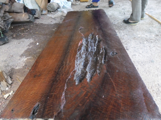 ขอ ขายไม้ประดู่ลายครับเกิดมาเพิ่งเคยเห็นคับ