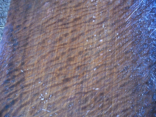 ขอ ขายไม้ประดู่ลายครับเกิดมาเพิ่งเคยเห็นคับ